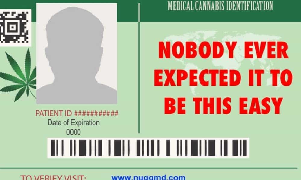 Getting a New York Medical Marijuana Card Just Got Easy, Heres How ...