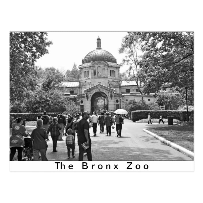 The Bronx Zoo Entrance Postcard